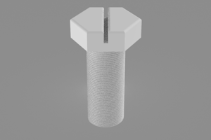 A 3D modelled nylon bolt with a slotted hex head