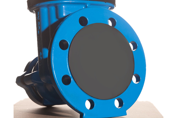 Flange_Disc_on_blue_Valve.png