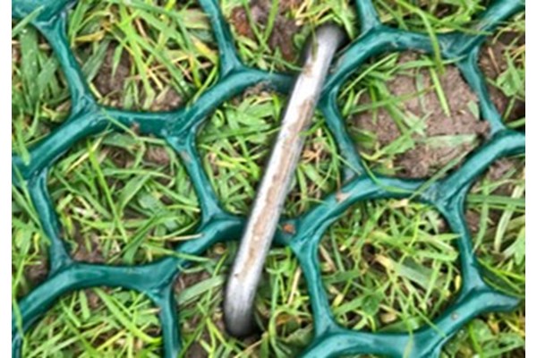 Turf Mesh Pegs1.jpg