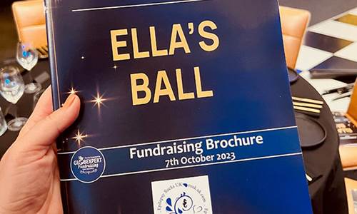 ellas-ball-fundraising-brochure-epilepsy-sucks-uk