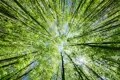 Protecting our Environment