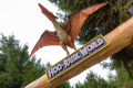 Hoo Zoo and Dinosaur World turf mesh case study