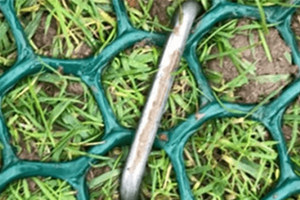 A metal U Pin holding plastic mesh down on grass